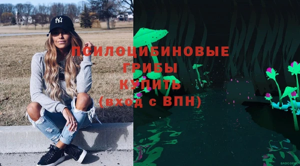 хмурый Карталы