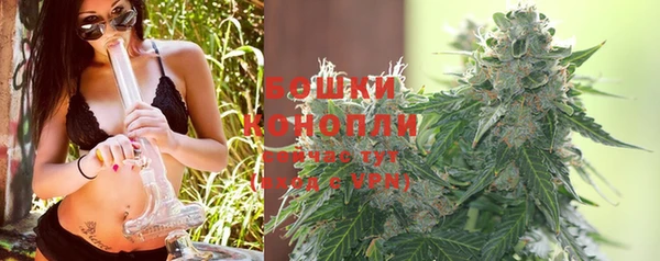 ГАЛЛЮЦИНОГЕННЫЕ ГРИБЫ Кинешма